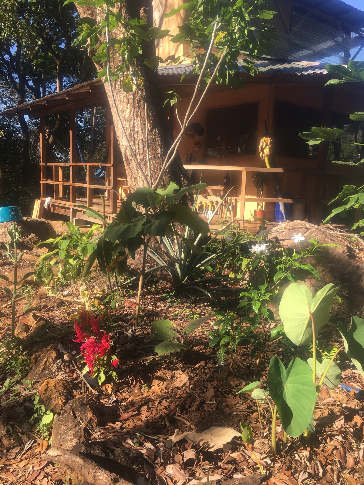 Finca Vida Verde 2